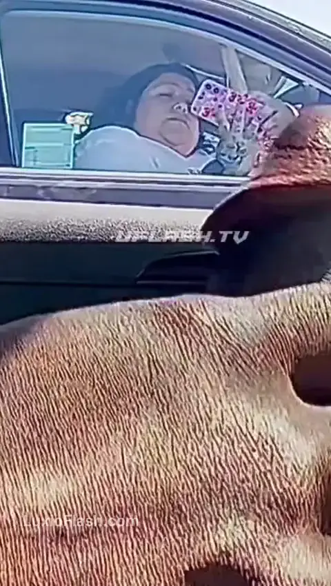BBW Mad Reaction To BBC Out In Car — video thumbnail